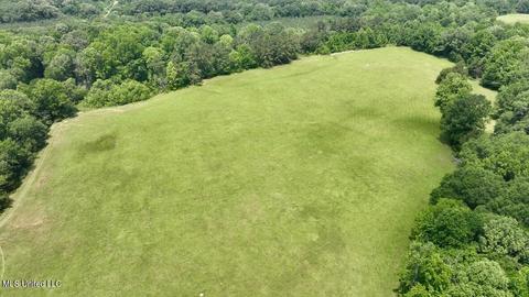 002 Mccullough Ln, Flora, MS 39071 photo 28
