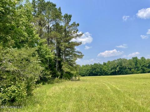 002 Mccullough Ln, Flora, MS 39071 photo 18