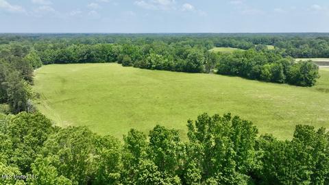 002 Mccullough Ln, Flora, MS 39071