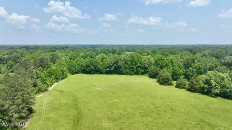 002 Mccullough Ln, Flora, MS 39071 photo 16