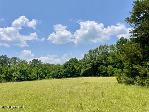 002 Mccullough Ln, Flora, MS 39071 photo 8
