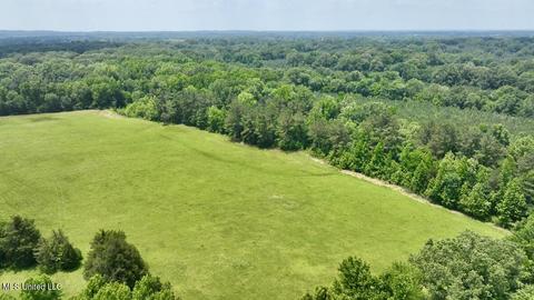 002 Mccullough Ln, Flora, MS 39071 photo 44