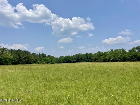 002 Mccullough Ln, Flora, MS 39071 photo 31