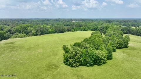 002 Mccullough Ln, Flora, MS 39071 photo 19
