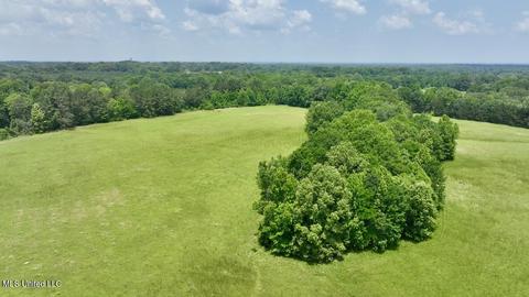002 Mccullough Ln, Flora, MS 39071 photo 6