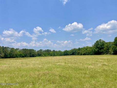 002 Mccullough Ln, Flora, MS 39071 photo 25