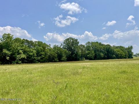 002 Mccullough Ln, Flora, MS 39071 photo 46