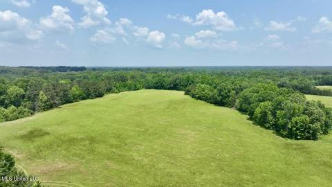 002 Mccullough Ln, Flora, MS 39071 photo 35