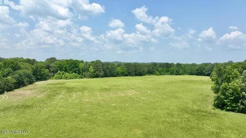 002 Mccullough Ln, Flora, MS 39071 photo 40