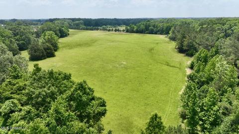 002 Mccullough Ln, Flora, MS 39071 photo 32