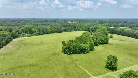 002 Mccullough Ln, Flora, MS 39071 photo 13