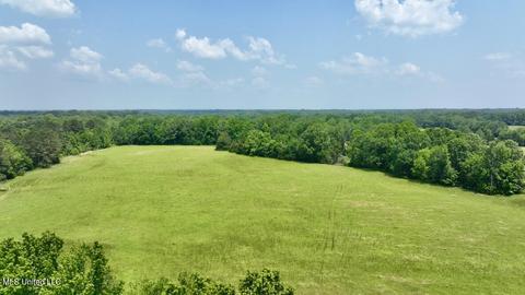 002 Mccullough Ln, Flora, MS 39071 photo 26