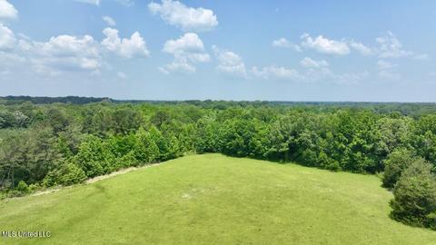 002 Mccullough Ln, Flora, MS 39071 photo 33