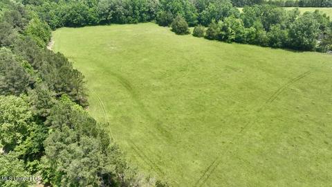 002 Mccullough Ln, Flora, MS 39071 photo 23