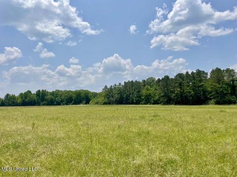 002 Mccullough Ln, Flora, MS 39071 photo 42