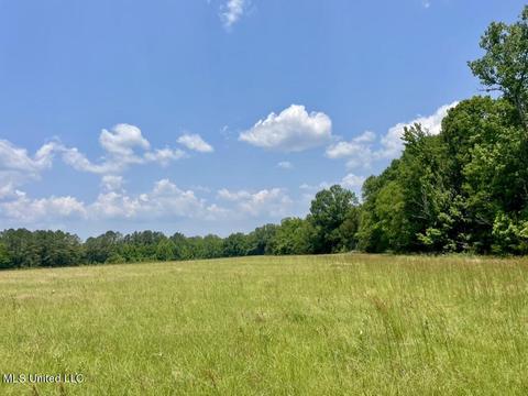 002 Mccullough Ln, Flora, MS 39071 photo 4