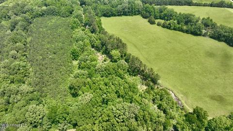 002 Mccullough Ln, Flora, MS 39071 photo 39