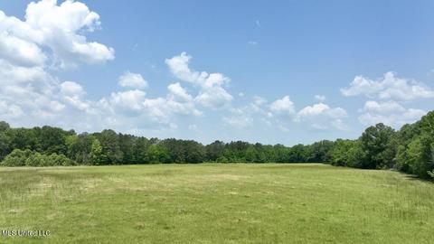 002 Mccullough Ln, Flora, MS 39071 photo 37