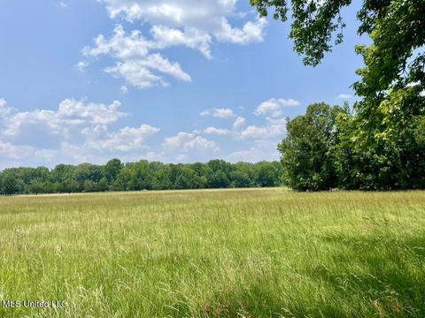 002 Mccullough Ln, Flora, MS 39071 photo 34