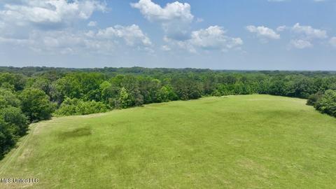 002 Mccullough Ln, Flora, MS 39071 photo 9