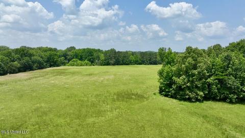 002 Mccullough Ln, Flora, MS 39071 photo 21