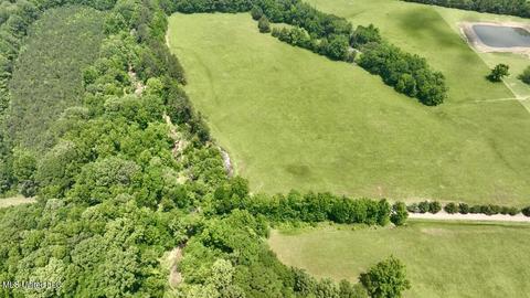 002 Mccullough Ln, Flora, MS 39071 photo 15
