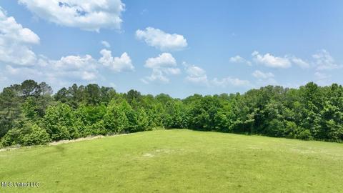 002 Mccullough Ln, Flora, MS 39071 photo 12