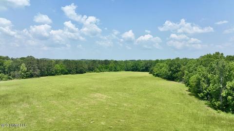 002 Mccullough Ln, Flora, MS 39071 photo 43