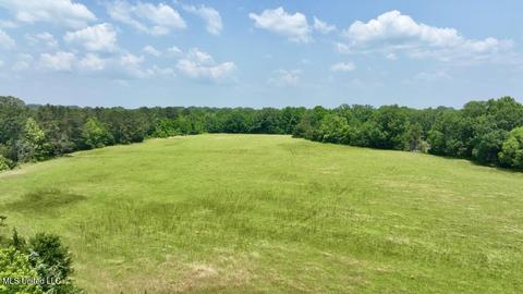 002 Mccullough Ln, Flora, MS 39071 photo 45