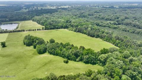 002 Mccullough Ln, Flora, MS 39071 photo 47