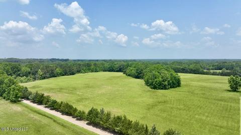 002 Mccullough Ln, Flora, MS 39071 photo 38
