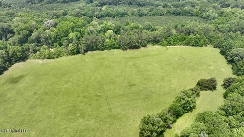 002 Mccullough Ln, Flora, MS 39071 photo 20