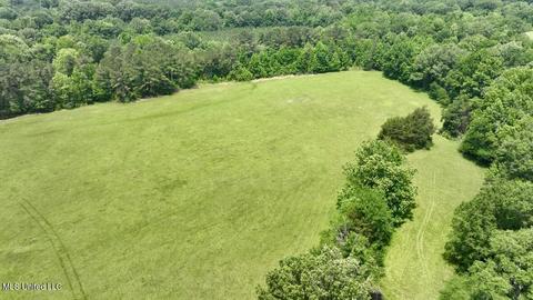 002 Mccullough Ln, Flora, MS 39071 photo 10