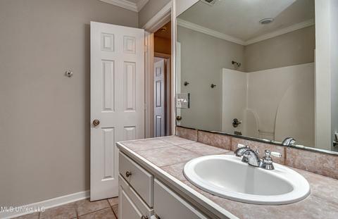 2032 S Cobblestone Cv, Brandon, MS 39042 photo 33