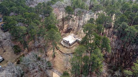 304 Pine Ridge Rd, Florence, MS 39073 photo 52