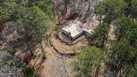 304 Pine Ridge Rd, Florence, MS 39073 photo 51