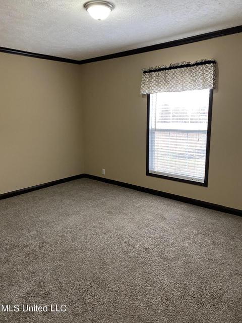 13829 Arkabutla Rd, Coldwater, MS 38618 photo 21