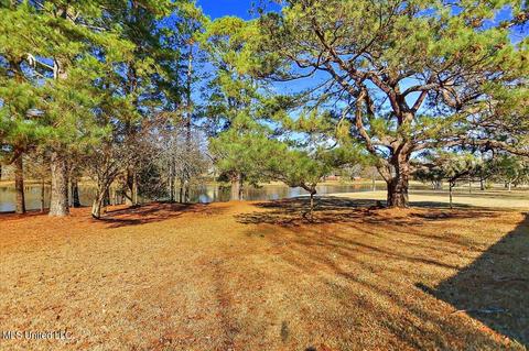 4071 Henderson Rd, Byram, MS 39272 photo 45