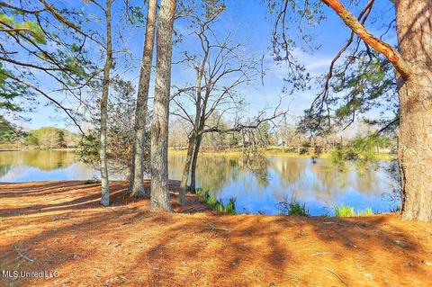 4071 Henderson Rd, Byram, MS 39272 photo 46
