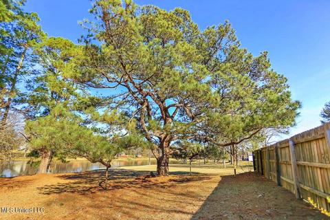 4071 Henderson Rd, Byram, MS 39272 photo 44