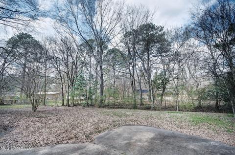 160 Riviera Dr, Jackson, MS 39211 photo 24