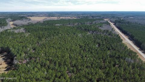 Chaney Rd, Ackerman, MS 39735 photo 14