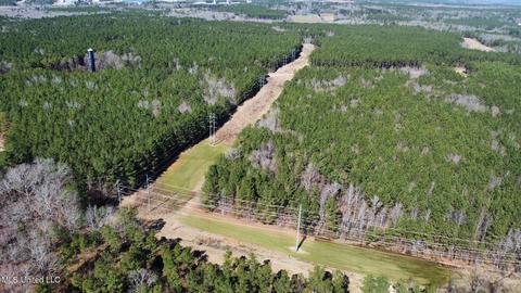 Chaney Rd, Ackerman, MS 39735 photo 2