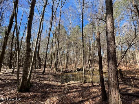 Chaney Rd, Ackerman, MS 39735 photo 5