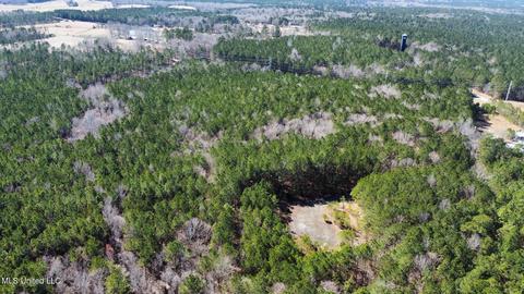Chaney Rd, Ackerman, MS 39735 photo 13