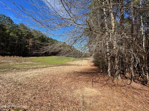 Chaney Rd, Ackerman, MS 39735 photo 10