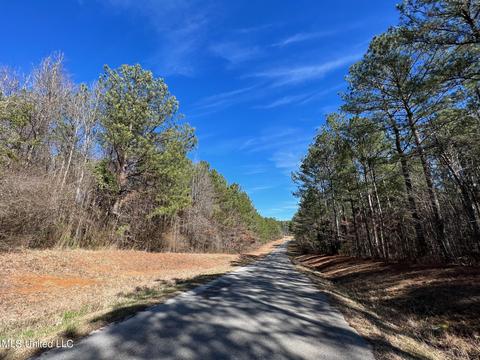 Chaney Rd, Ackerman, MS 39735 photo 15