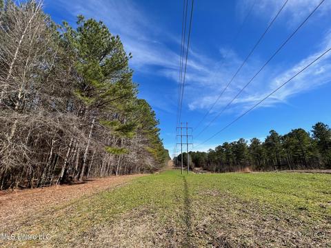 Chaney Rd, Ackerman, MS 39735 photo 9