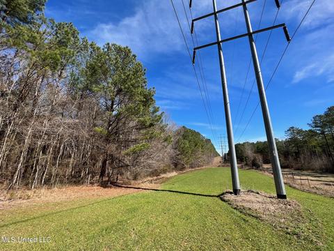 Chaney Rd, Ackerman, MS 39735 photo 7