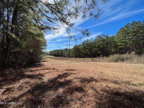 Chaney Rd, Ackerman, MS 39735 photo 18